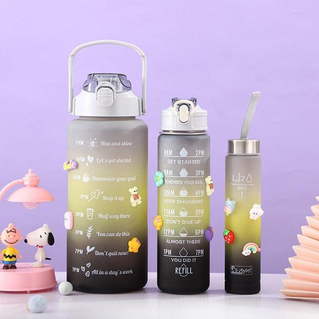 Kit 3 Garrafas 2Litros 900ml 300ml Squeeze Frases Motivadoras + Adesivos 2D 3D - Viral Trends