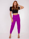 Calça Social Feminina de Alfaiataria - Viral Trends