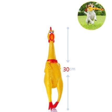 Frango Pet - Viral Trends