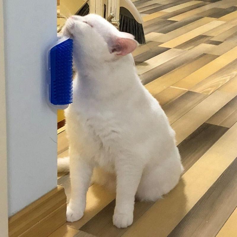 Escova com Catnip - Viral Trends