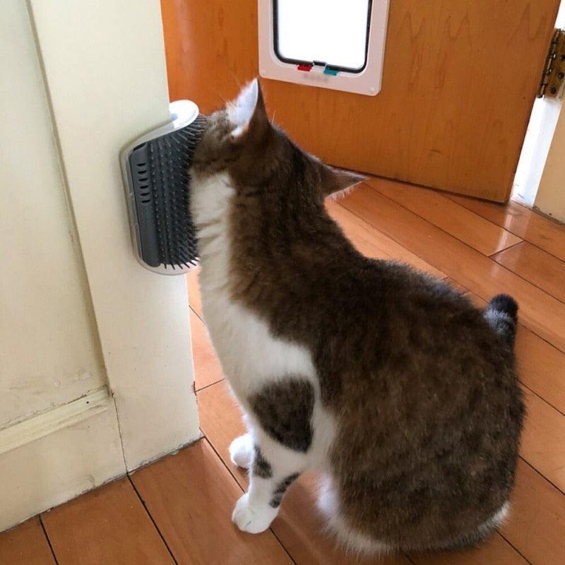 Escova com Catnip - Viral Trends