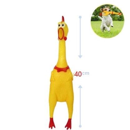 Frango Pet - Viral Trends