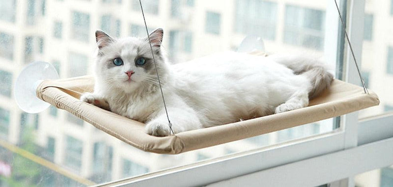Cama de Janela para Gatos - Viral Trends