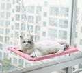 Cama de Janela para Gatos - Viral Trends