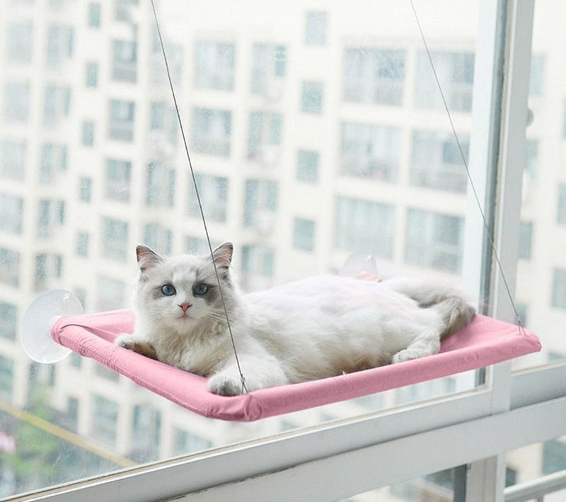 Cama de Janela para Gatos - Viral Trends