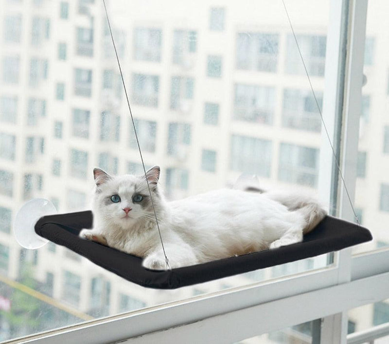 Cama de Janela para Gatos - Viral Trends