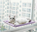 Cama de Janela para Gatos - Viral Trends