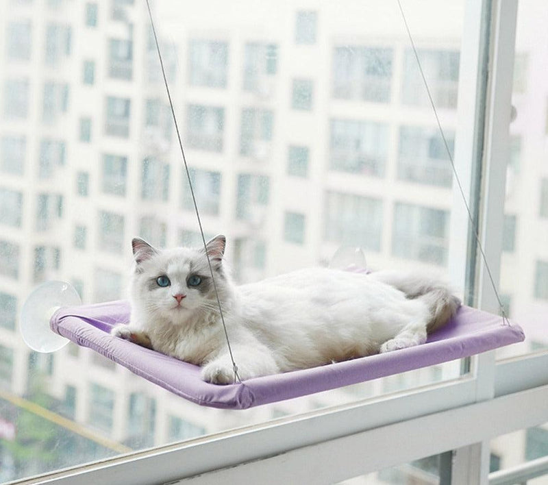 Cama de Janela para Gatos - Viral Trends