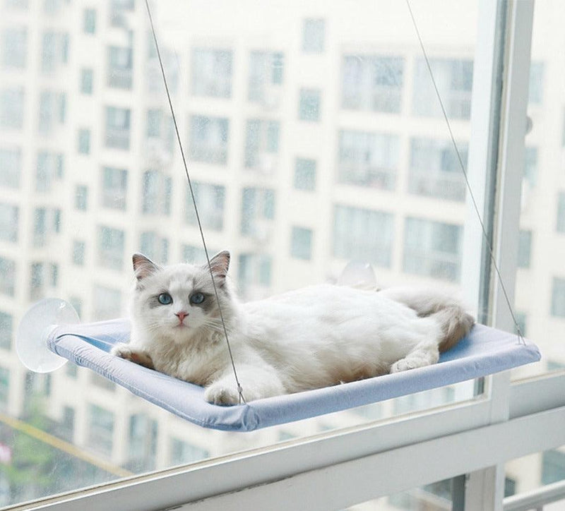 Cama de Janela para Gatos - Viral Trends