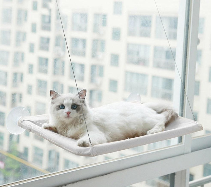 Cama de Janela para Gatos - Viral Trends