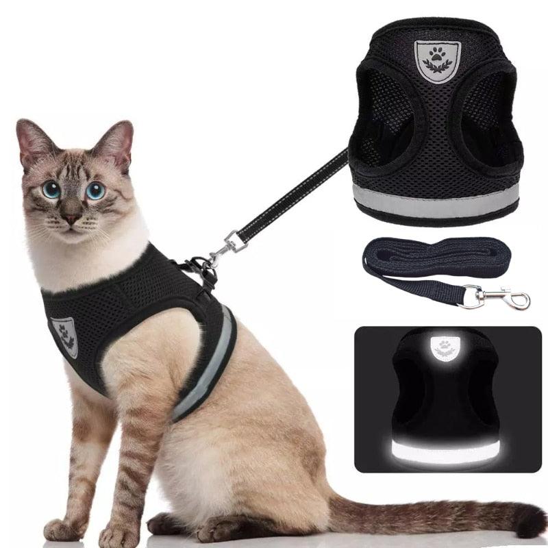 Peitoral com Guia para Cães e Gatos - Viral Trends