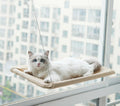 Cama de Janela para Gatos - Viral Trends