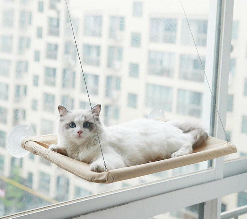 Cama de Janela para Gatos - Viral Trends