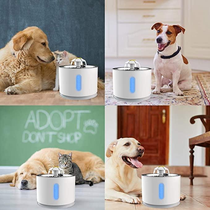 Bebedouro Fonte Pets - Viral Trends